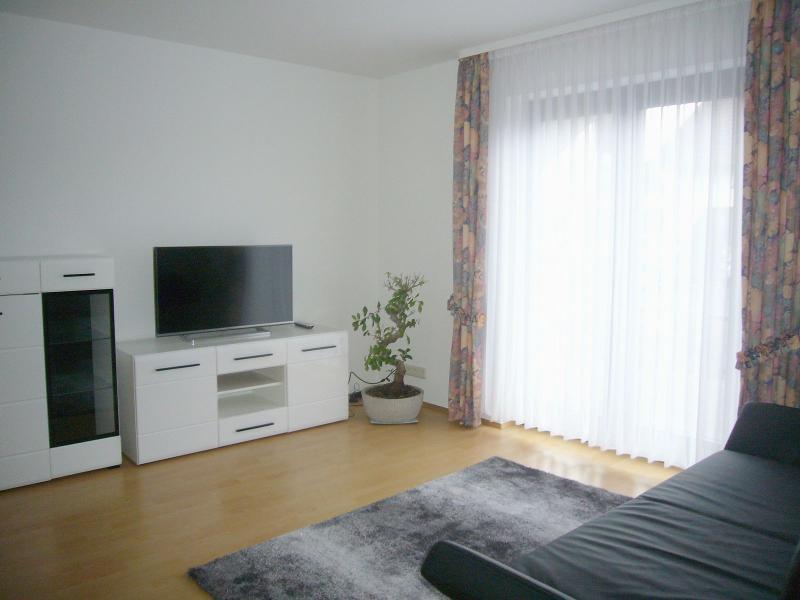 Moderne 2 Zi.- Single-Wohnung mit Terrasse in Alzenau - Foto 3